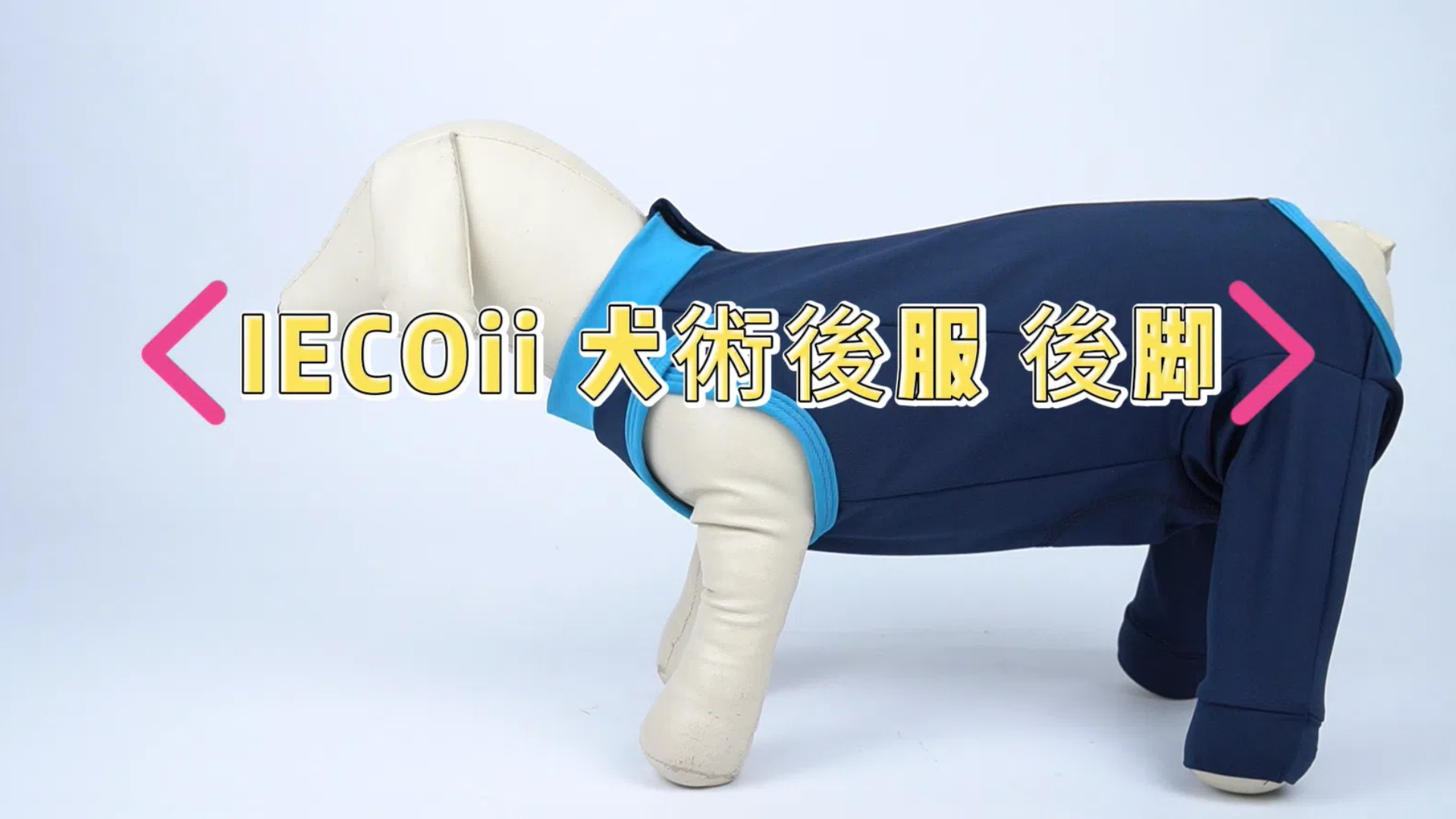 Amazon | IECOii 術後服 犬 後脚と胴体の傷口保護 避妊手術 離乳 皮膚